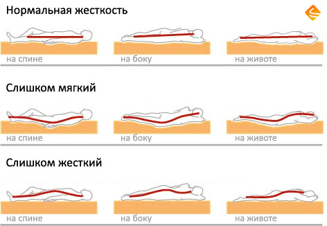 Правильная жесткость матрасов